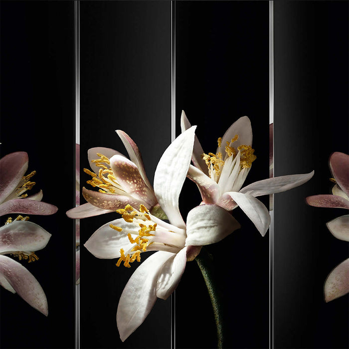 YVES SAINT LAURENT Yves Saint Laurent Ysl Myslf Le Parfum Spray 60ml Perfumes